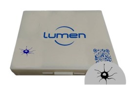 Conjunto Lâminas Parasitologia - 30 Unid - Lm-Pt-30 - Lumen